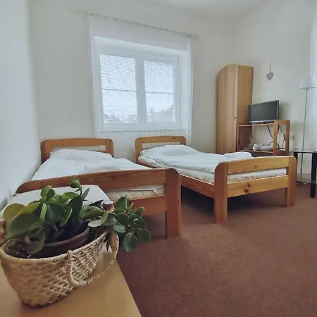 Pod Kostelickem بيت ضيافة Třebíč