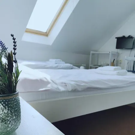 بيت ضيافة Pod Kostelickem Třebíč