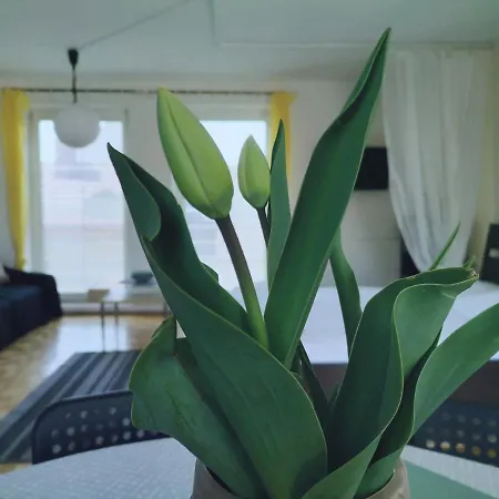 Penzion Pod Kostelíčkem Třebíč