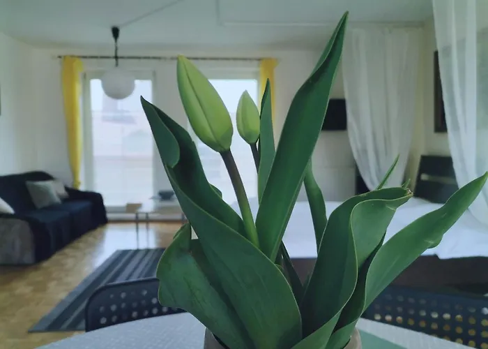 Gasthuis Pod Kostelickem Třebíč